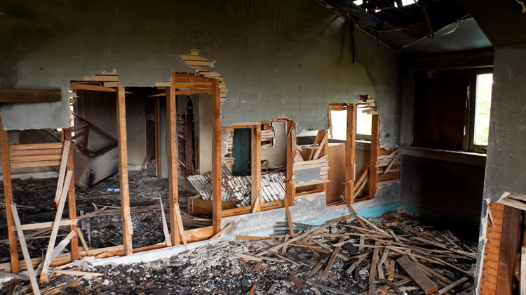Fire Restoration